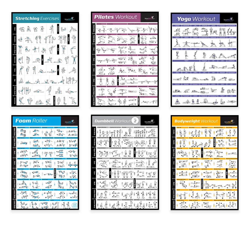 แผนภูมิการฝึกออกกำลังกาย โปสเต - Sports Equipment Poster บทวิจารณ์และราคา