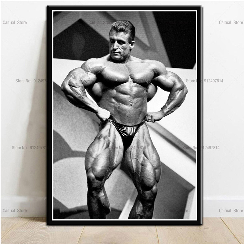 โปสเตอร์ผ้าใบพิมพ์ลายสำหรับนัก - Sports Equipment Poster บทวิจารณ์และราคา