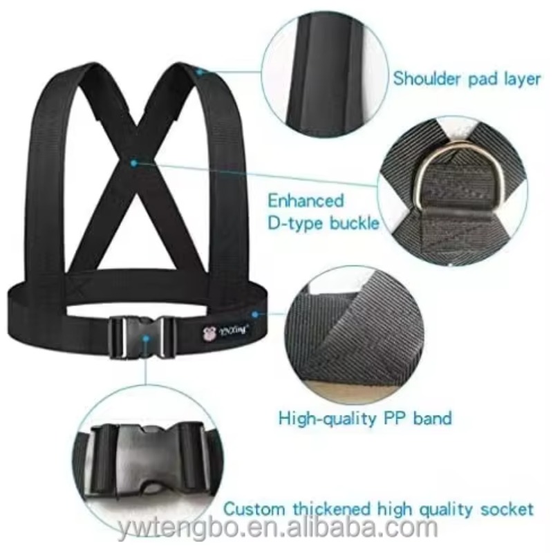 เชือกดึงยางยืดแบบสองชั้นสำหรับ - Jump Rope บทวิจารณ์และราคา